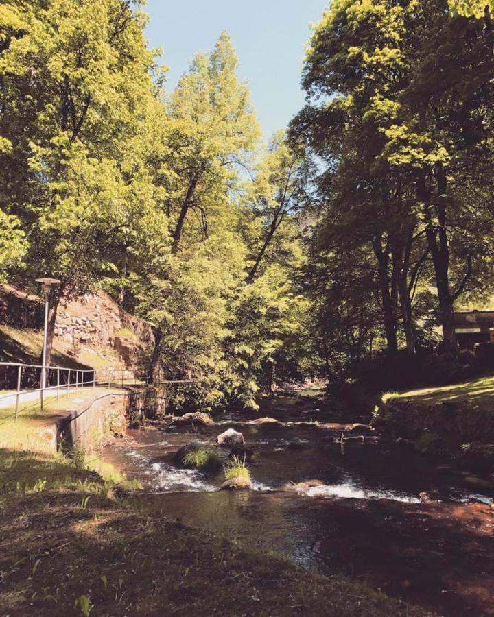 Schwarzwald Maedl Apartment Bad Wildbad Bagian luar foto