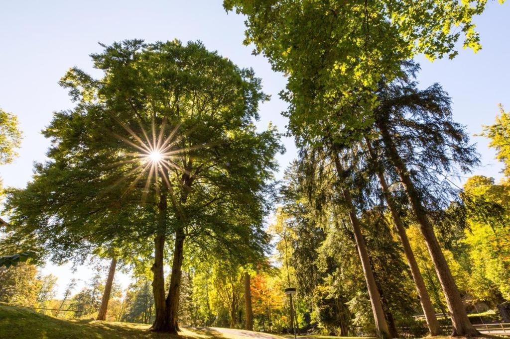 Schwarzwald Maedl Apartment Bad Wildbad Bagian luar foto
